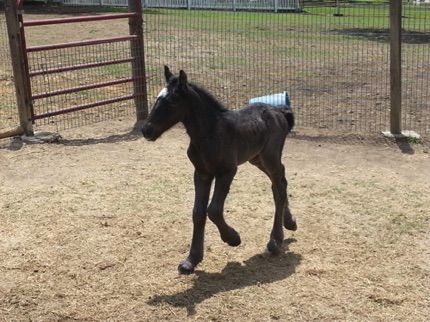 one day old one day old